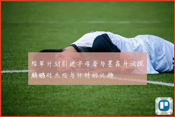绿军计划引进字母哥与墨菲并试探鹈鹕对杰伦与怀特的兴趣