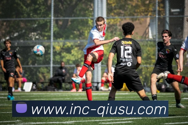互动解说服务